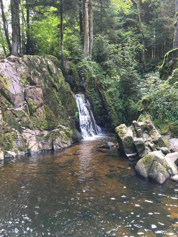 Gite Les Dryades Gerardmer Luaran gambar