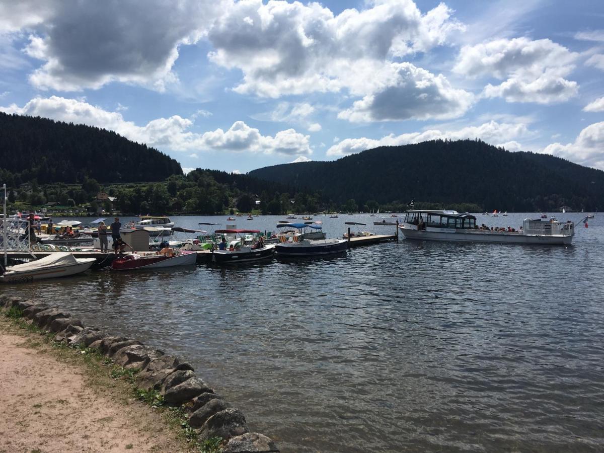 Gite Les Dryades Gerardmer Luaran gambar