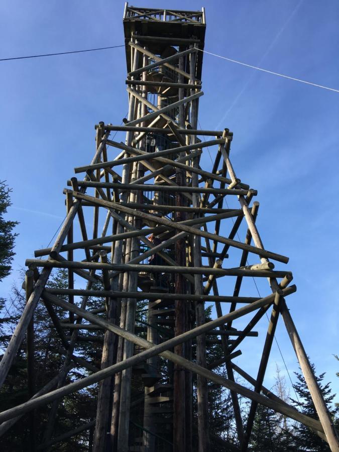 Gite Les Dryades Gerardmer Luaran gambar