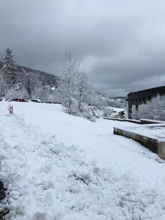 Gite Les Dryades Gerardmer Luaran gambar