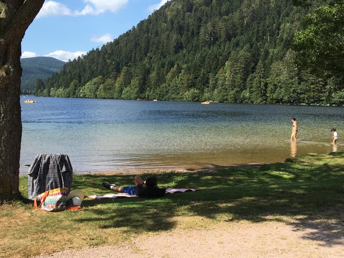 Gite Les Dryades Gerardmer Luaran gambar