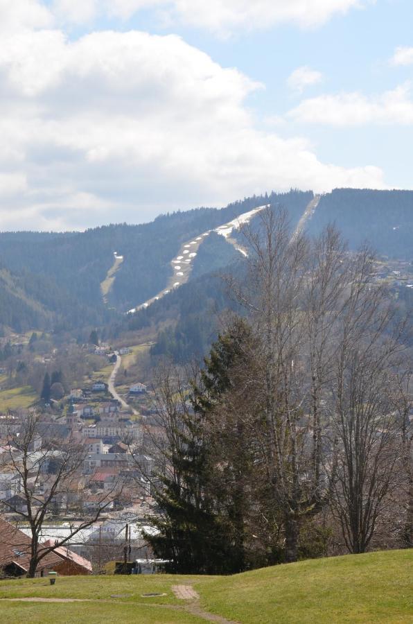 Gite Les Dryades Gerardmer Luaran gambar